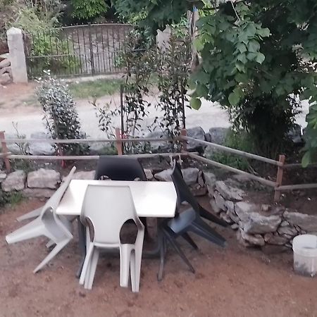 Maison De Caractere Au Coeur De La Corse Rurale كالاكوتشا المظهر الخارجي الصورة